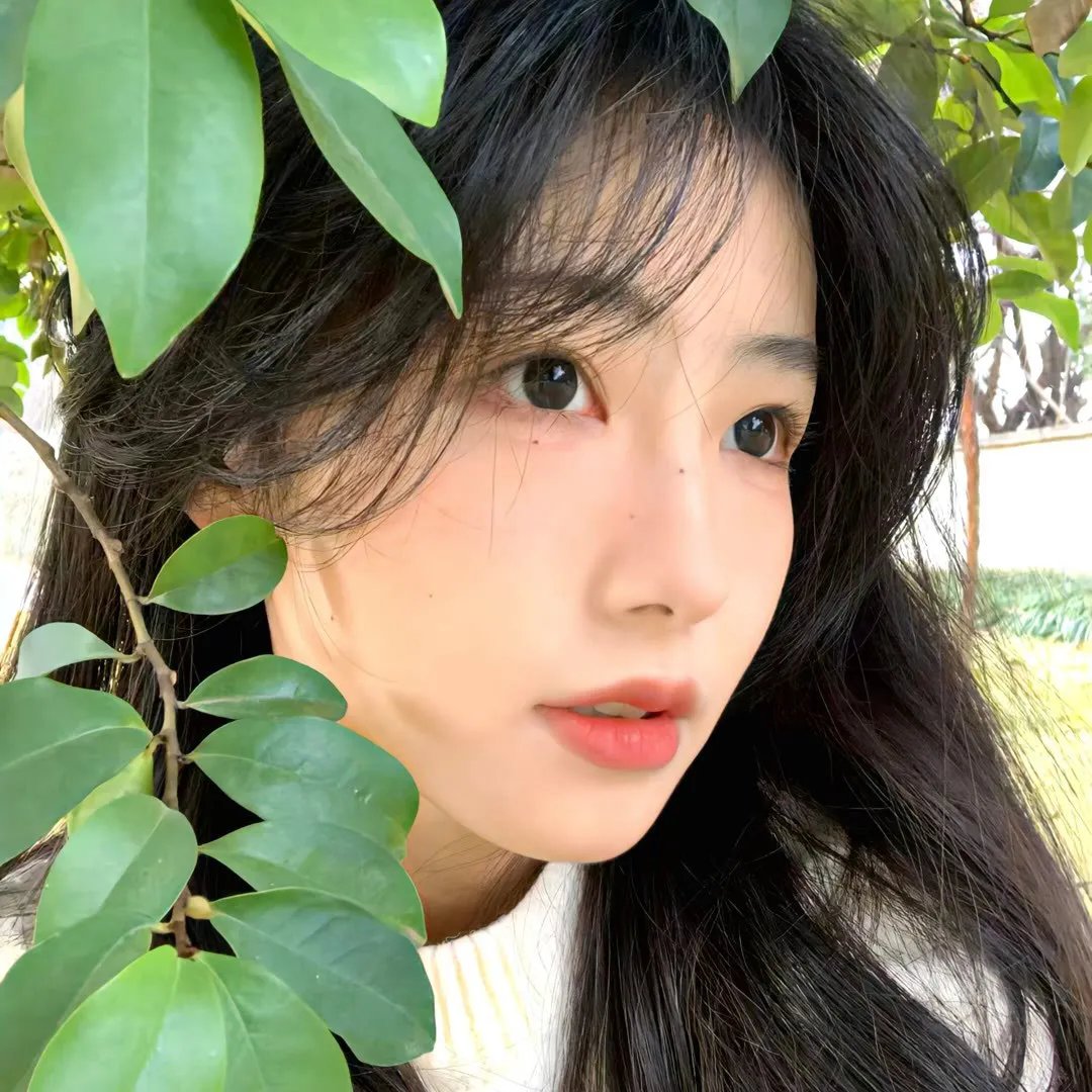 男极探射灯